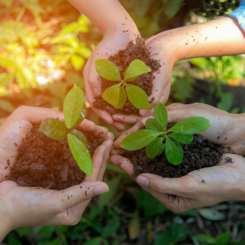 Banques vertes, écologiques, écoresponsables