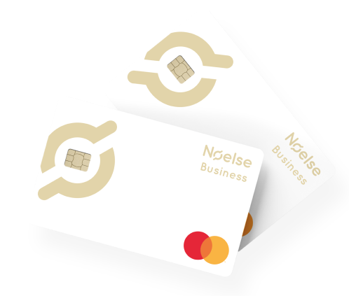 Service Noelse Pro Smart 