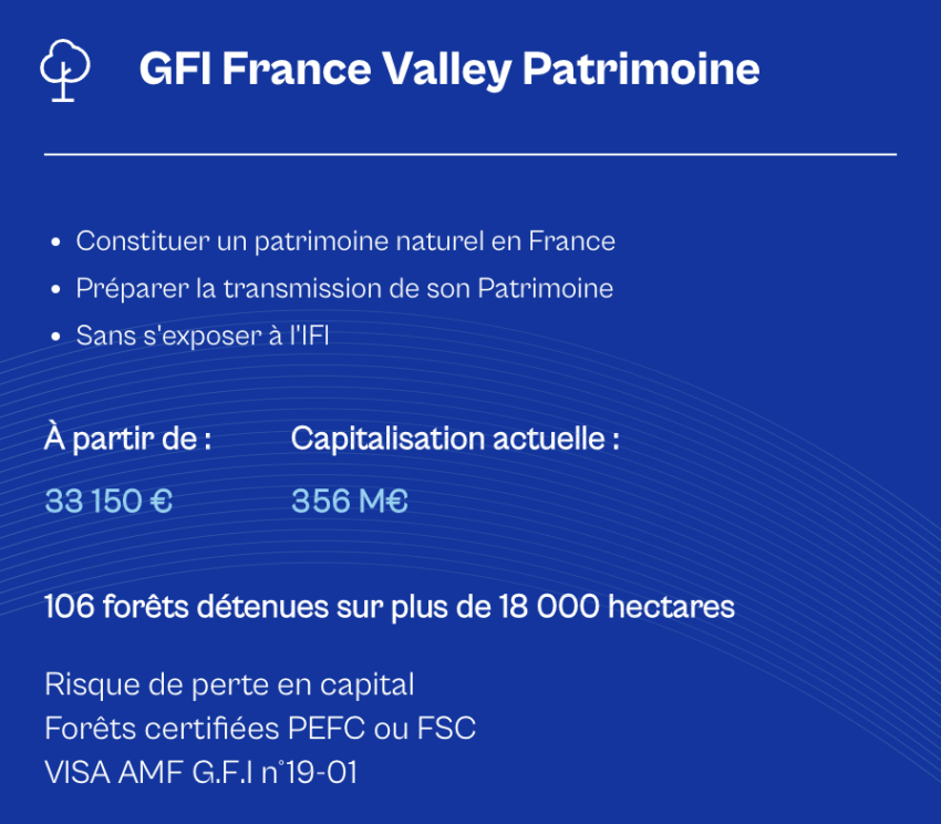 GFI France Valley Patrimoine