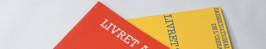 Placer 50 000 euros à court terme avec un livret.